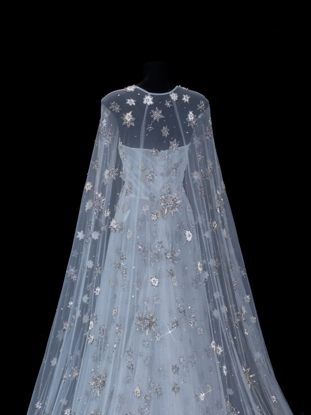 Elegant A Line Strapless Tulle With Tulle Cape Formal Fancy Long Evening Dresses Dinner Outfits Classy Party Gowns AS616