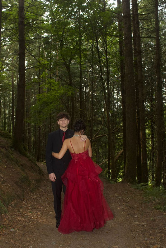 Modest Ball Gown Spaghetti Strap Burgundy Tulle Prom Dresses Inspo For Teens Formal Dress Party Outfits Prom Gowns AB083
