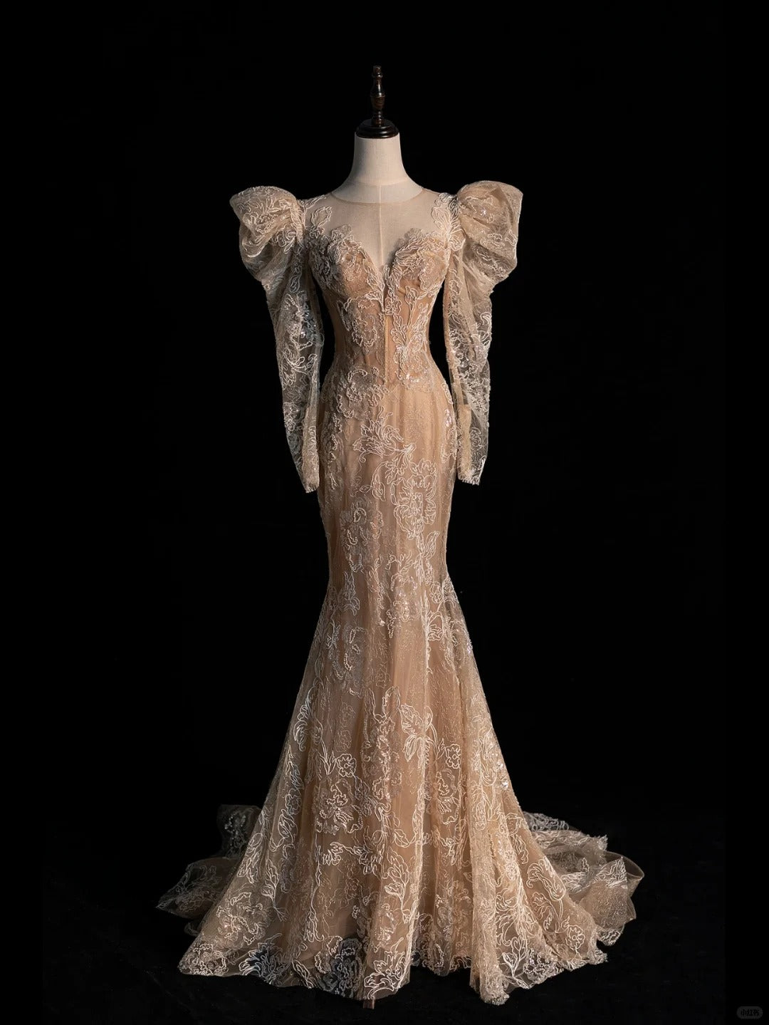 Retro-Meerjungfrauenkleid aus Spitze in Champagner mit langen Ärmeln, Partykleid, Ballkleid, elegantes Abendkleid für Senioren, N948