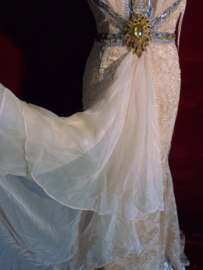 Vintage Prom Dresses 90er Meerjungfrau V-Ausschnitt Champagner Spitze Lange Semi-Formelle Abendkleider N3652