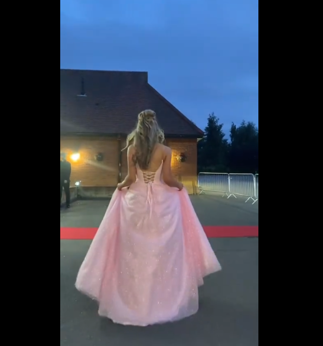 Robe de bal longue élégante en tulle rose pailleté à col en V, coupe trapèze - Inspiration robe de bal longue AB316