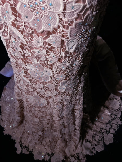 Vintage Meerjungfrauen-Abschlussballkleider mit V-Ausschnitt, rosa Spitze mit 3D-Blumen, lange Abendrobe aus den 1950er Jahren N2594