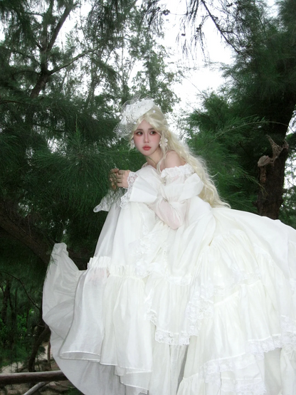 Robe de mariée princesse, robe de bal épaules dénudées en dentelle et tulle blanc, robe de mariée longue et cintrée AB2407