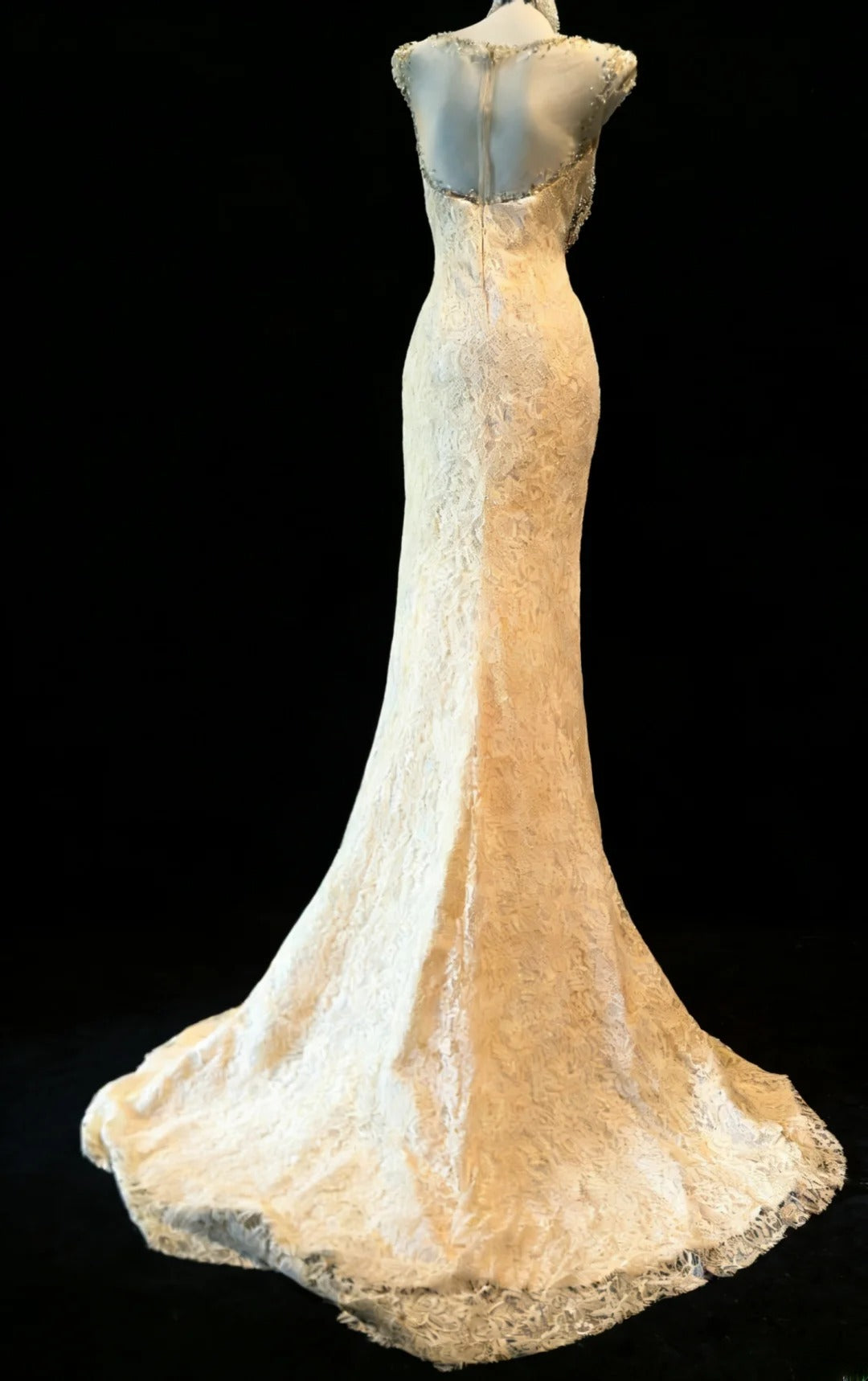 Robe de bal longue sexy sirène à col bateau en dentelle champagne sans manches pour femme, tenue de fin d'année scolaire (21 ans) AS044