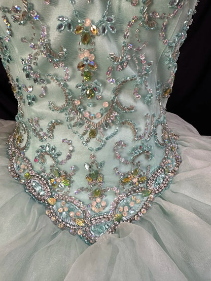 Pretty Ball Gown Scoop Mint Green Tulle Prom Dresses Long 15 Quinceanera Dresses Photo Ideas Formal Outfit RB6151