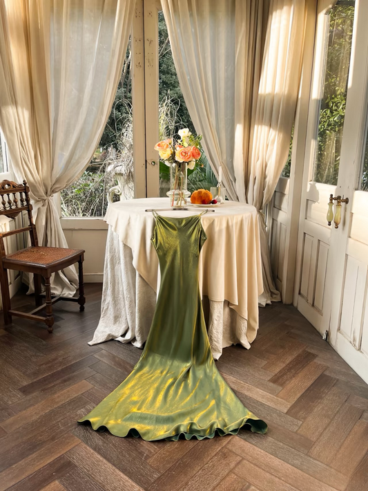 Elegant A Line Spaghetti Straps Olive Green Long Prom Dresses Party Gowns AU148