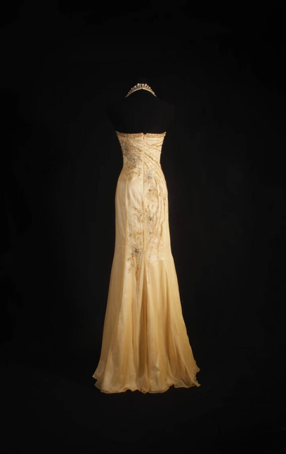 Vintage Prom Dresses 1950s Retro Classy Mermaid Halter Satin Yellow Long Party Dress Graduation Outfit For Women AU592