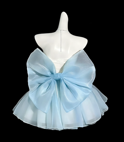 2026 New Homecoming Dresses Mini Short Sweetheart White Blue Graduation Cocktail Dress N4305
