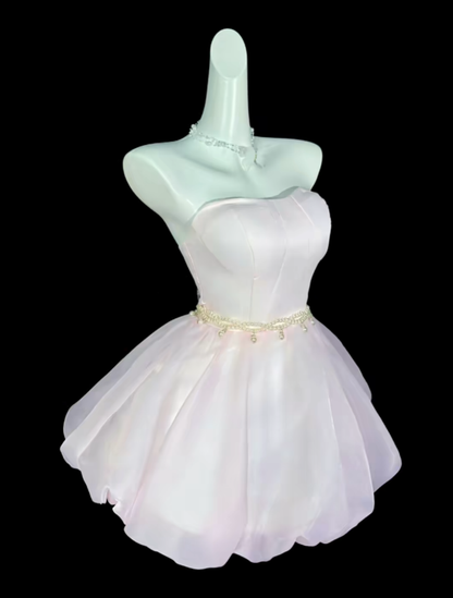 Süßes Ballkleid Trägerlos Hellrosa Kurz Mini Party Cocktail Homecoming Kleider N4401