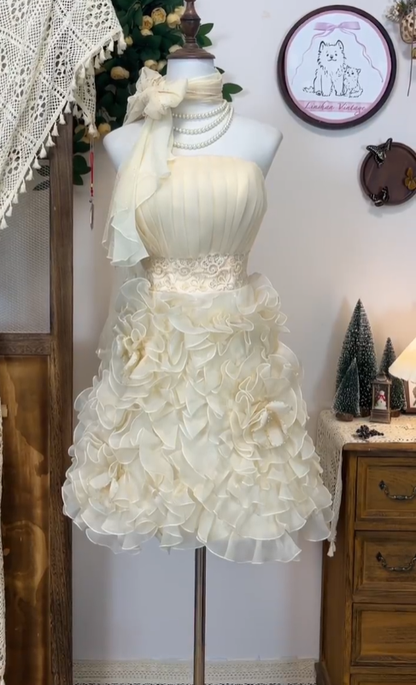 Robe de soirée unique en mousseline champagne bustier pour le bal de promo de lycée (Senior Short Hoco Court High School Homecoming Dresses N4577)