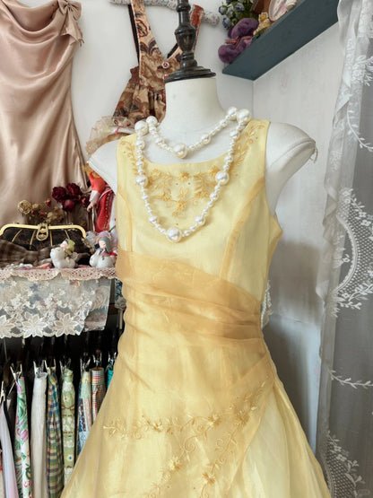 Glam Butter Yellow Evening Gowns Round Neck A-Line Tulle Party Dress  RF0608