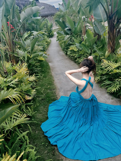 Gorgeous Blue V-Neck A-Line Summer Backless Dress RF0710
