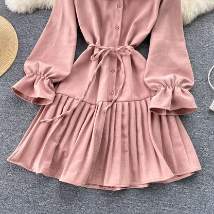 Lovely A Line Long Sleeve Dress Fashion Dress RF0357