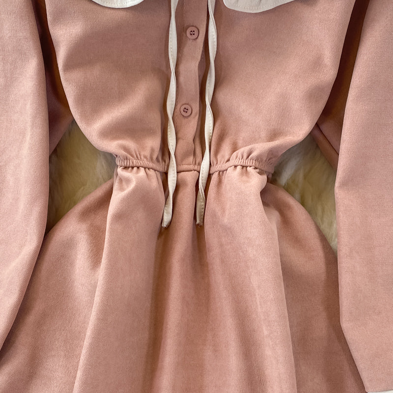 Cute A Line Long Sleeve Dress Spring And Autumn Dresses RF0354