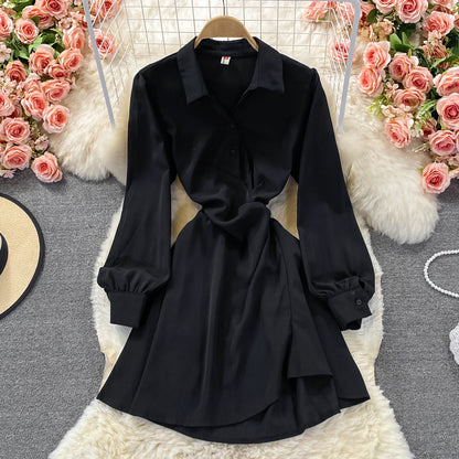 Cute A Line Long Sleeve Shirt Dress RF0313