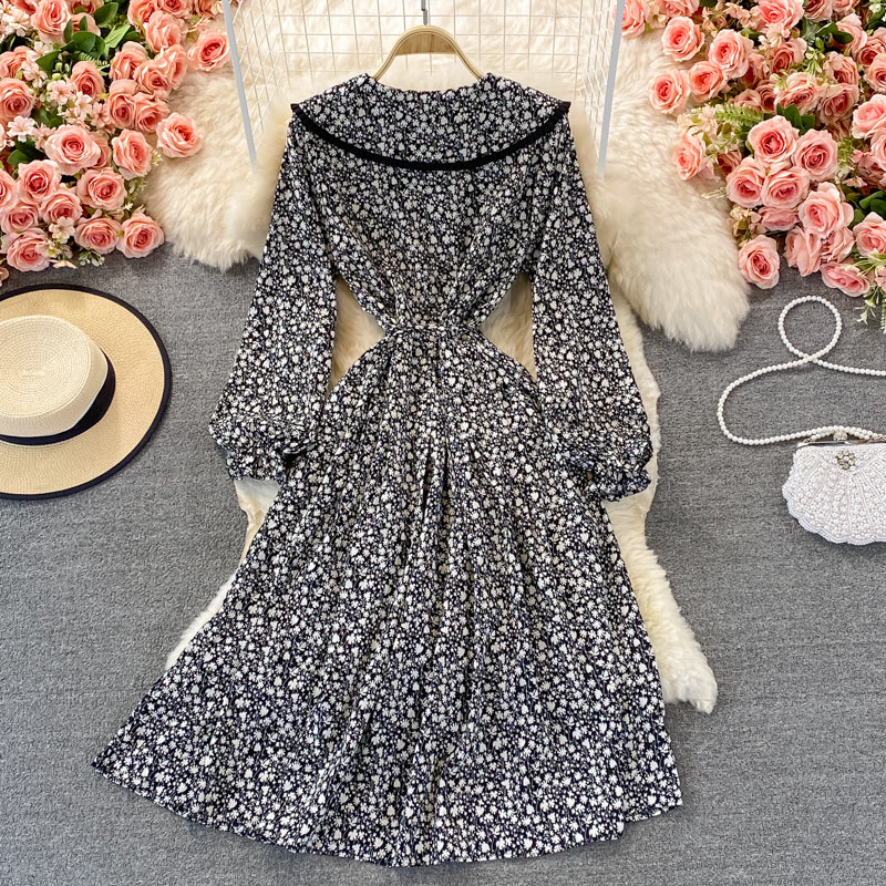 Sweet Long Sleeve Dress A Line Fashion Dress RF0301