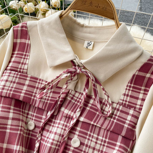 Cute Plaid Long Sleeve Dress Fashion Dress RF0291