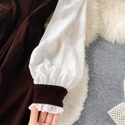 Robe trapèze en velours à manches longues, jolie robe tendance RF0287