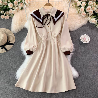 Sweater A Line Long Sleeve Dress Fashion Dress RF0279