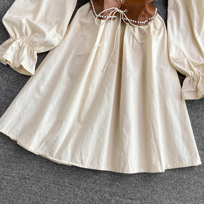Chic A Line Long Sleeve Dress Fashion Dress RF0254