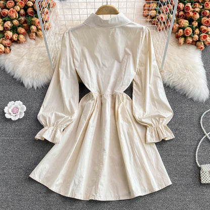 Chic A Line Long Sleeve Dress Fashion Dress RF0254