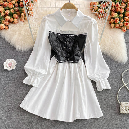 Chic A Line Long Sleeve Dress Fashion Dress RF0254