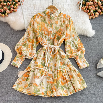 Stylish A Line Long Sleeve Floral Dress Fashion Dress RF0245