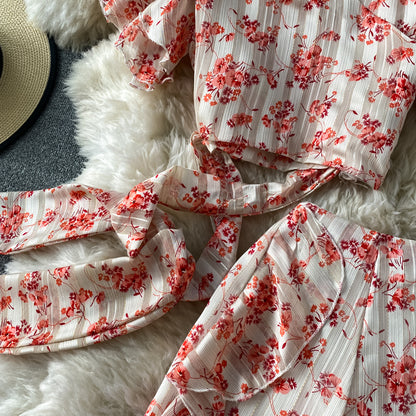 Cute Printed Two-piece Dress Fashion Dress RF0201
