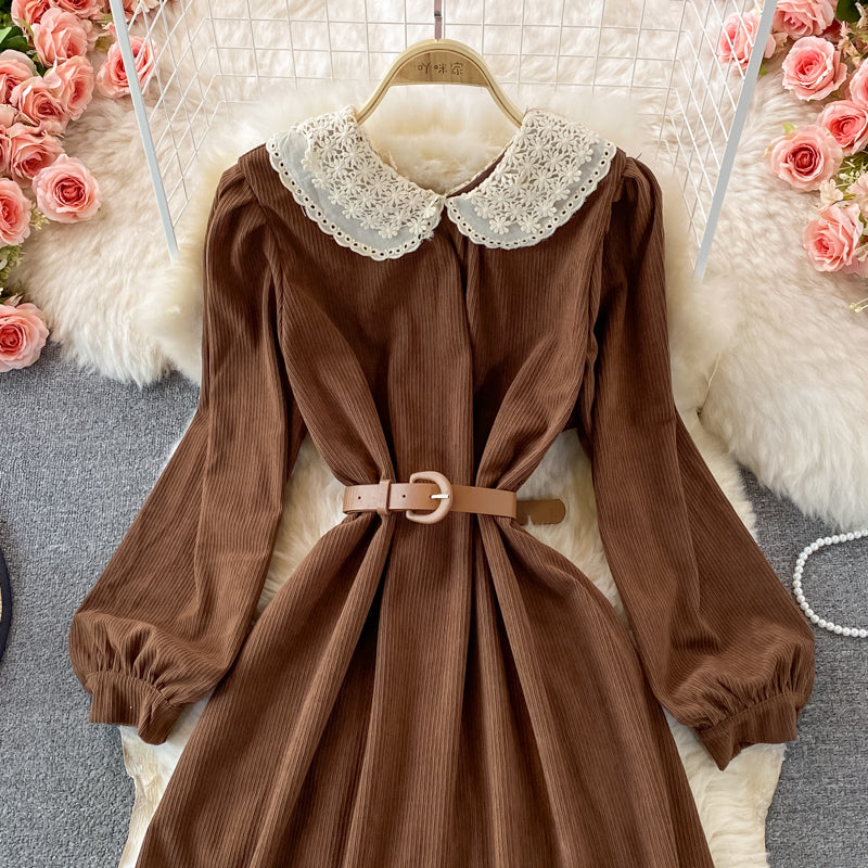 Sweet Lace Long Sleeve Dress A Line Fashion Dress RF0186