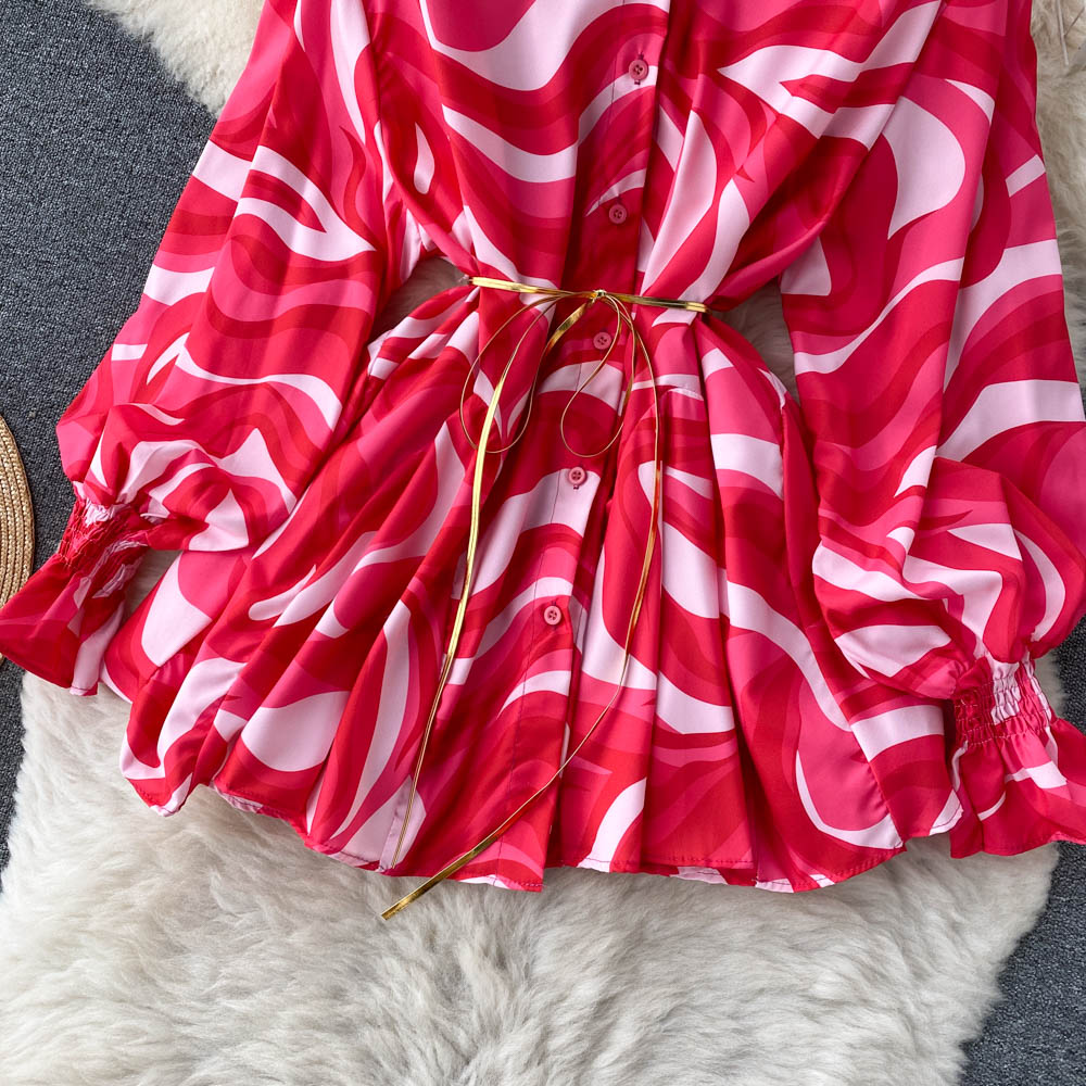 Cute A-line Long Sleeve Dress Fashion Dress RF0034